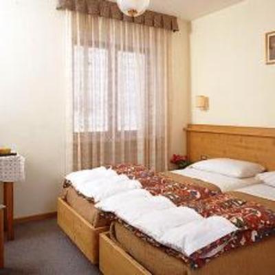 фото отеля Cesa Edelweiss Hotel Campitello di Fassa