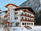 фото отеля Cesa Edelweiss Hotel Campitello di Fassa