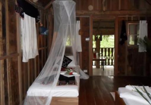 фото отеля Nam Songsai Eco Lodge
