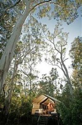 фото отеля Paperbark Camp Woollamia