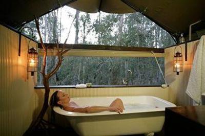 фото отеля Paperbark Camp Woollamia