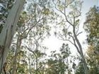 фото отеля Paperbark Camp Woollamia