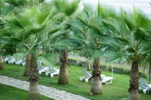 фото отеля Melas Holiday Village