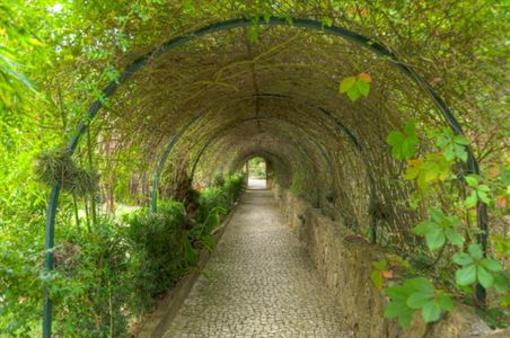 фото отеля Quinta Verde Sintra