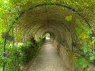 фото отеля Quinta Verde Sintra