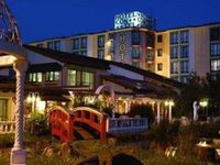 Contel Hotel