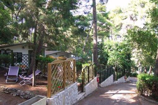 фото отеля Camping Villaggio Internazionale