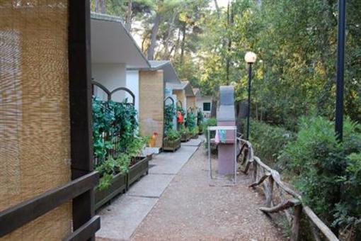 фото отеля Camping Villaggio Internazionale