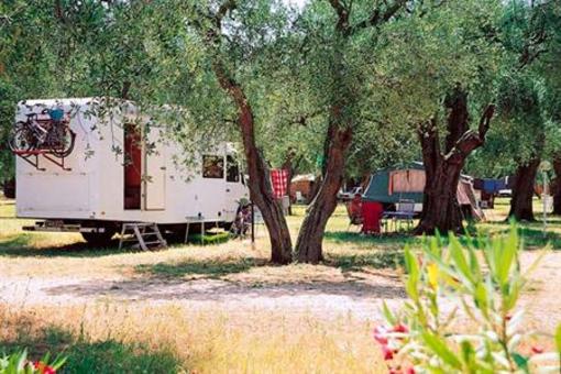 фото отеля Camping Villaggio Internazionale