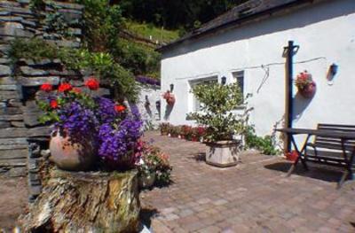 фото отеля Ty Derw Country House Bed & Breakfast Machynlleth