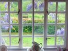 фото отеля Ty Derw Country House Bed & Breakfast Machynlleth