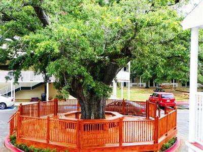 фото отеля Super 8 Motel Biloxi