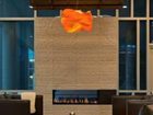 фото отеля SpringHill Suites Denver Downtown