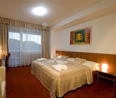 фото отеля Hotel Sitno
