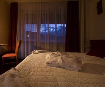 фото отеля Hotel Sitno