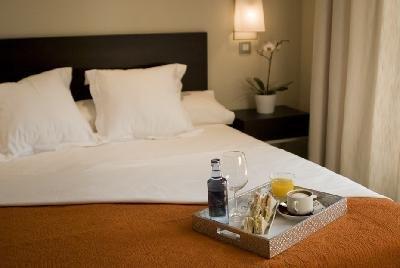 фото отеля Hotel Suites Viena