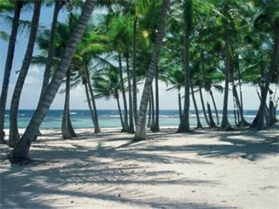 фото отеля Palms At Pelican Cove Hotel Saint Croix