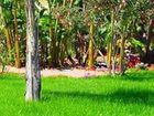 фото отеля Le Palme Di Conturrana Residence Tropicale San Vito Lo Capo