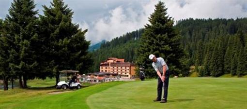 фото отеля Golf Hotel Pinzolo
