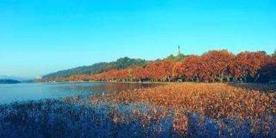 фото отеля Four Points by Sheraton Hotel Hangzhou Binjiang
