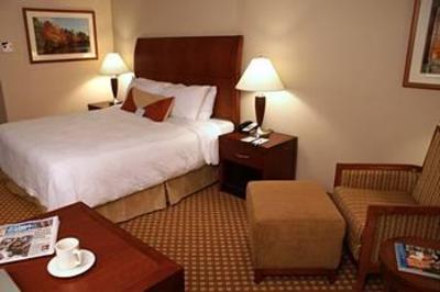 фото отеля Hilton Garden Inn Colorado Springs Airport