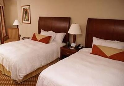 фото отеля Hilton Garden Inn Colorado Springs Airport