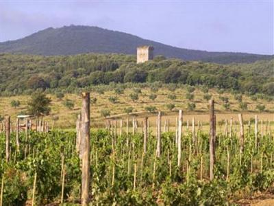 фото отеля Tenuta Agricola Dell'Uccellina