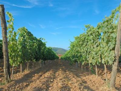фото отеля Tenuta Agricola Dell'Uccellina