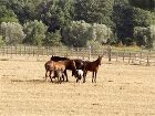 фото отеля Tenuta Agricola Dell'Uccellina