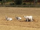 фото отеля Tenuta Agricola Dell'Uccellina