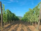 фото отеля Tenuta Agricola Dell'Uccellina