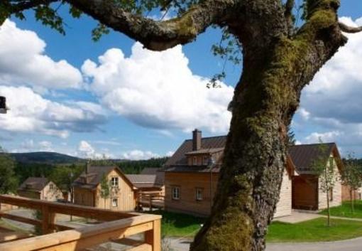 фото отеля Torfhaus HARZRESORT