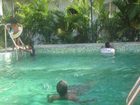 фото отеля Balajivilla Homestay