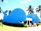 фото отеля Prodigy Beach Resort & Conventions Aracaju