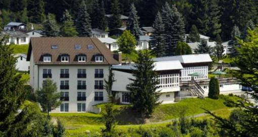 фото отеля Waldhotel Feldbachtal