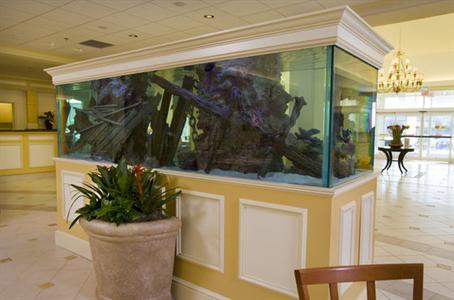 фото отеля Hilton Garden Inn Outer Banks/Kitty Hawk