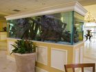 фото отеля Hilton Garden Inn Outer Banks/Kitty Hawk