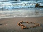 фото отеля Hilton Garden Inn Outer Banks/Kitty Hawk