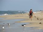 фото отеля Hilton Garden Inn Outer Banks/Kitty Hawk