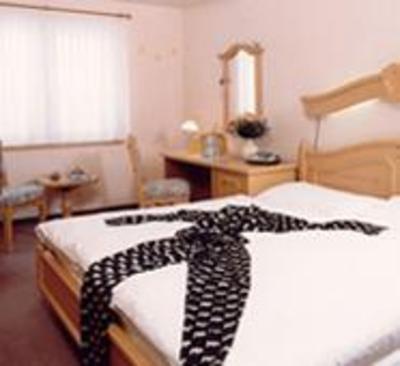 фото отеля Hotel Edelweiss Riederalp