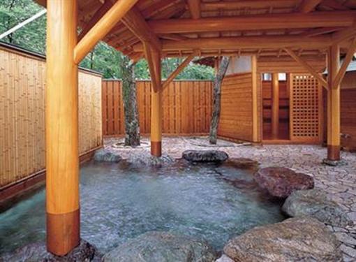 фото отеля Tateyama Prince Hotel