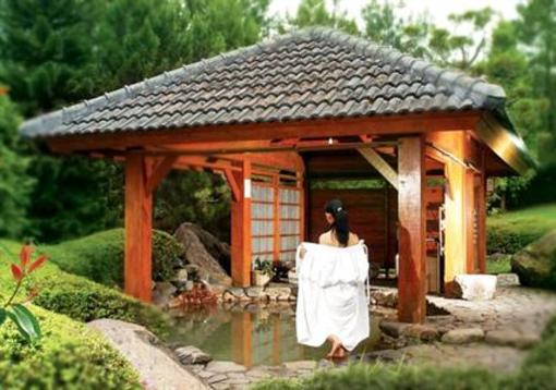 фото отеля Javana Spa