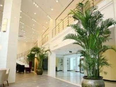 фото отеля City Plaza Hotel Sin Hoo