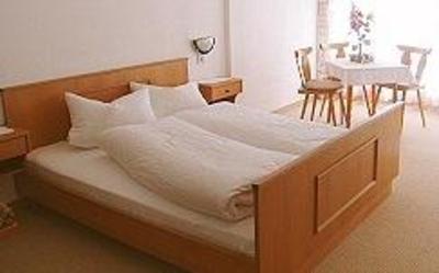 фото отеля Schima Drosa Hotel Pension Garni Gaschurn