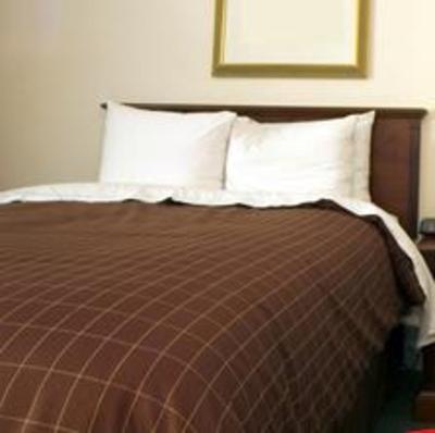 фото отеля Pepper Tree Motel