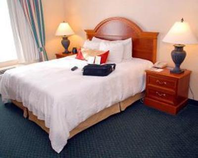 фото отеля Hilton Garden Inn Sarasota - Bradenton Airport