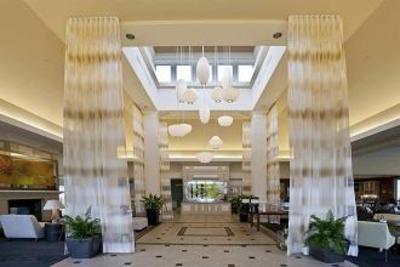 фото отеля Hilton Garden Inn Sarasota - Bradenton Airport
