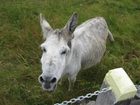 фото отеля Aran Islands Hotel Inishmore