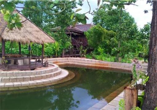 фото отеля The Bong Thom Homestay