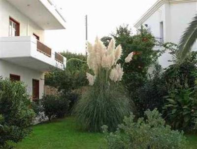 фото отеля Alexandros Studios Kalamaki (Crete)